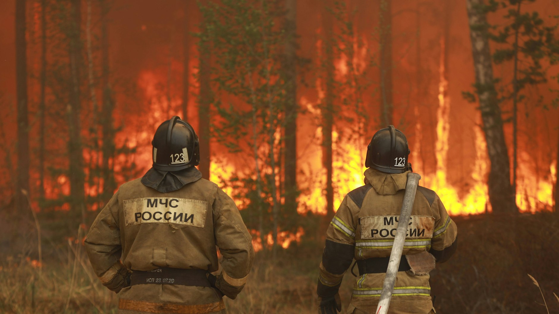 Bilder zeigten, wie Feuerwehrleute gegen Brandherde kämpften, aber auch, wie sie in Pausen vor Erschöpfung im Gras schliefen.