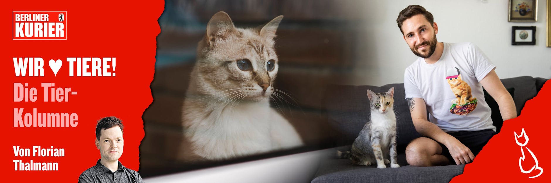 Vielen Haustieren fällt die Trennung nach anderthalb Jahren Homeoffice schwer. Doch Tierhalter können einiges für ihre Lieblinge tun, weiß Katzen-Fachmann Florian Schäfer.