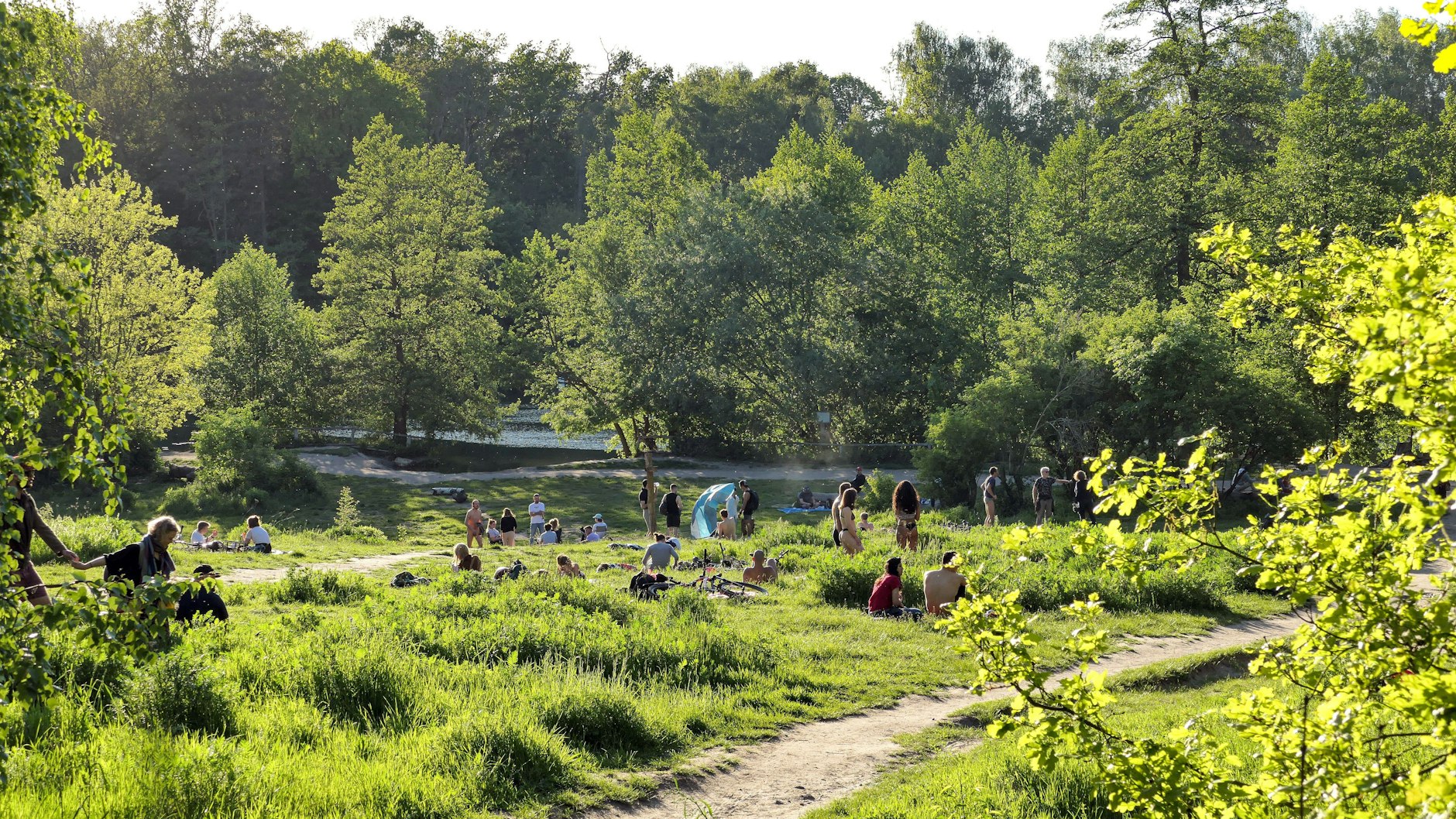  Hohe Ozonwerte treten vor allem am Rand von Metropolen auf und führen zu Beschwerden. Im Foto: Der Teufelssee in Grunewald.