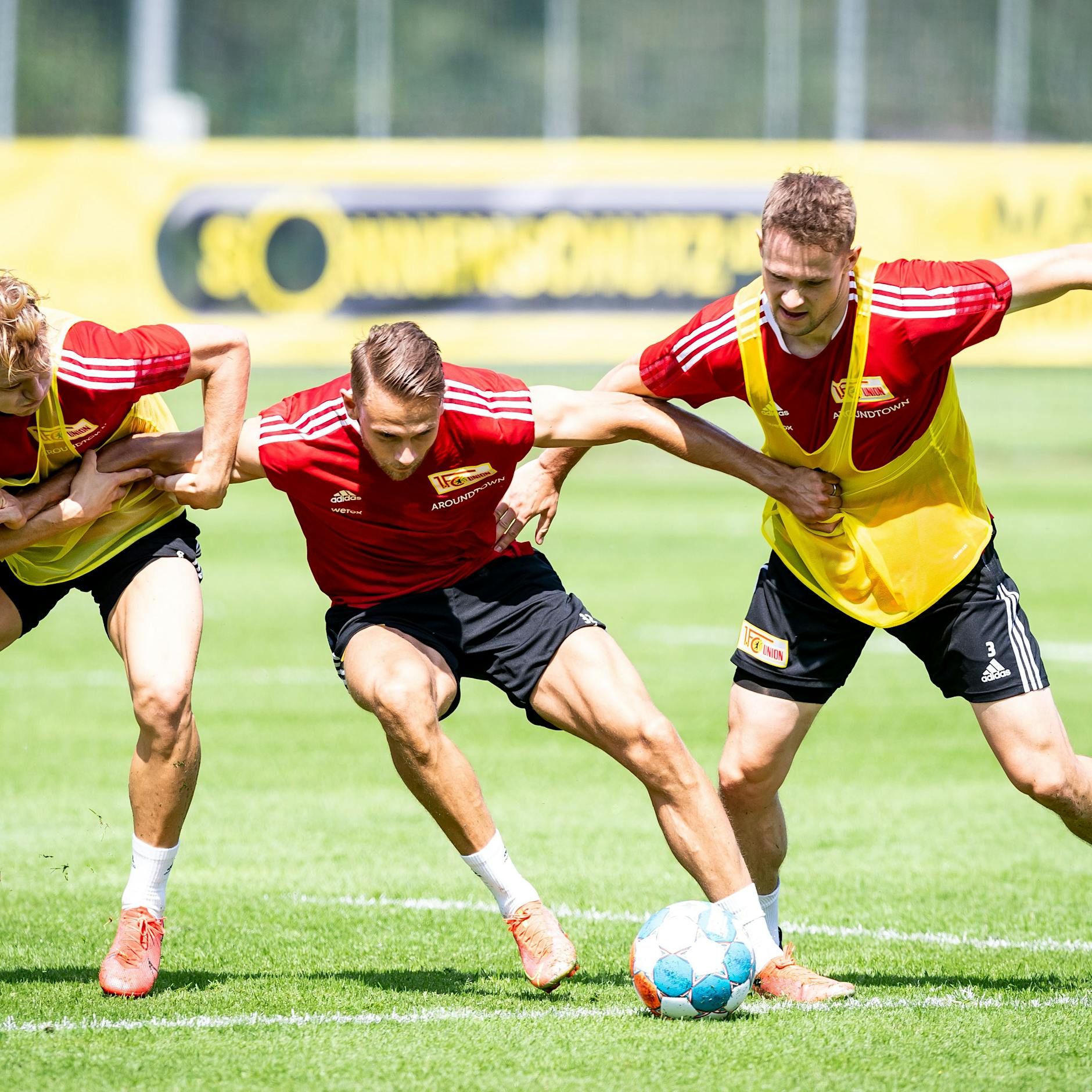 Wer wäre besser? Die-Alt-Eisernen oder die Frischlinge bei Union?