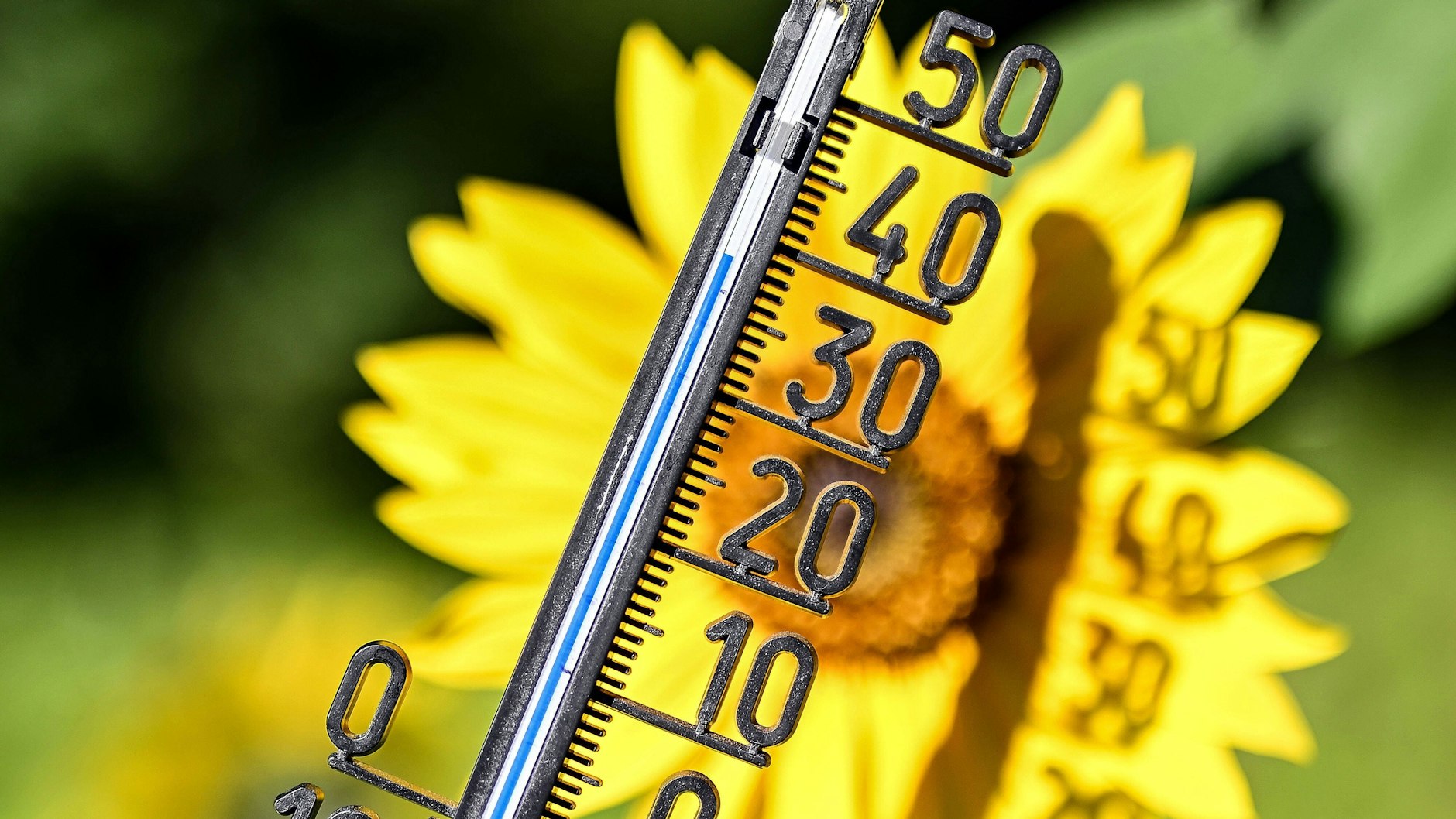 Temperaturen zum Zerfließen: Ein Thermometer zeigt über 38 Grad im Juli 2020 an. Solche Hitzewerte dürften künftig in den Sommermonaten keine Seltenheit mehr sein.
