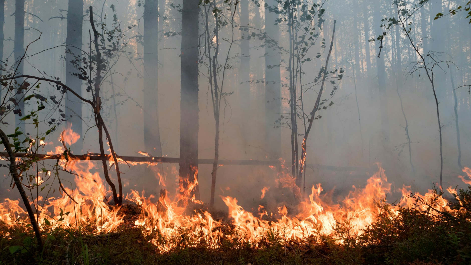 Waldbrand im Osten Russlands, Juli 2021.
