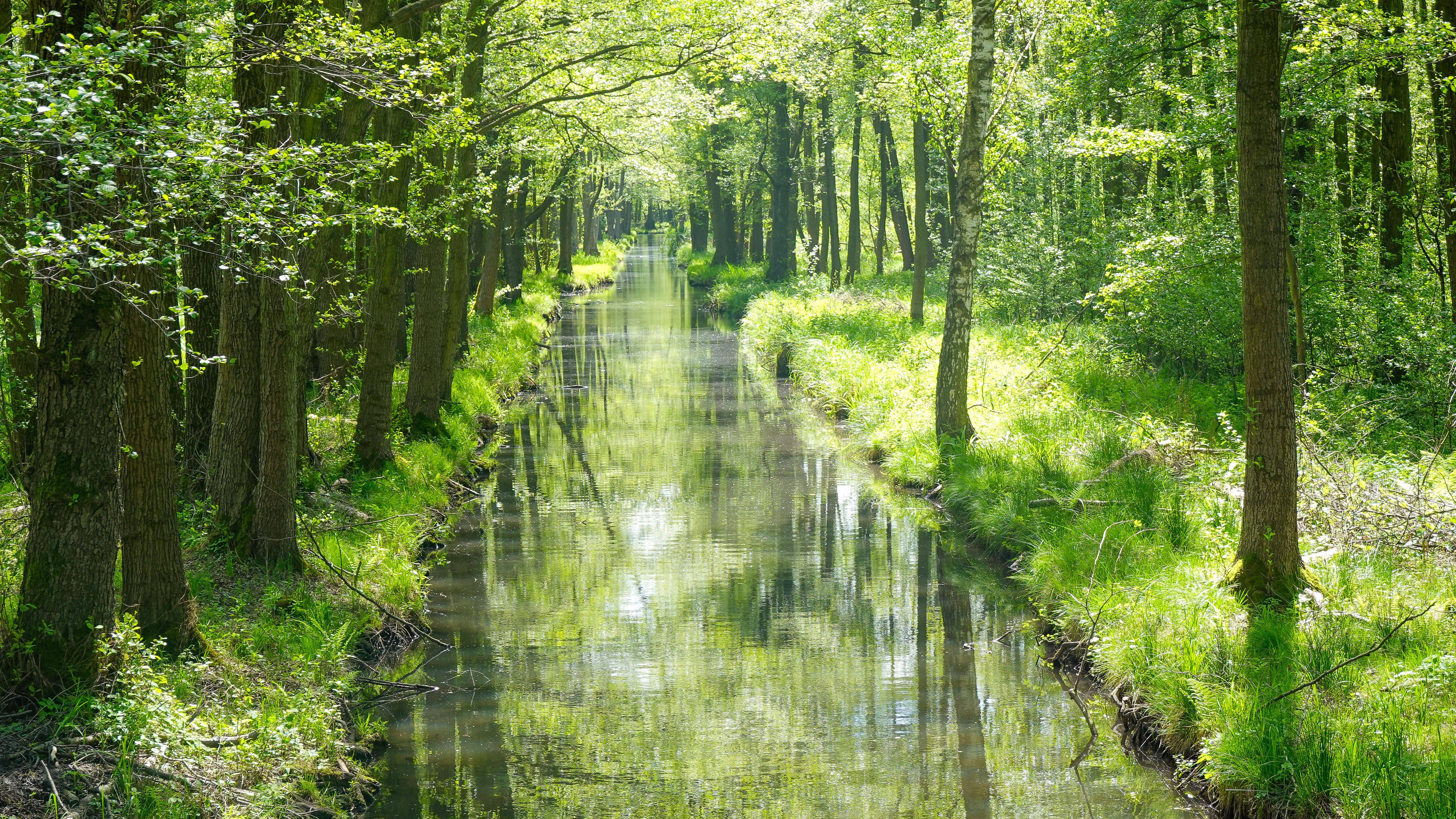 Im Spreewald gibt es 270 Kilometer solcher Fließe und Gräben.