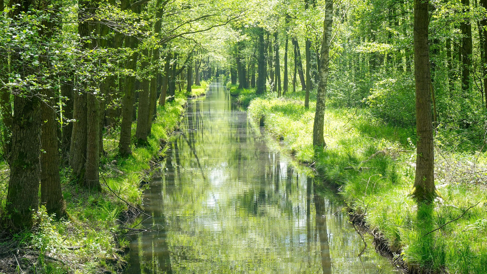 Im Spreewald gibt es 270 Kilometer solcher Fließe und Gräben.