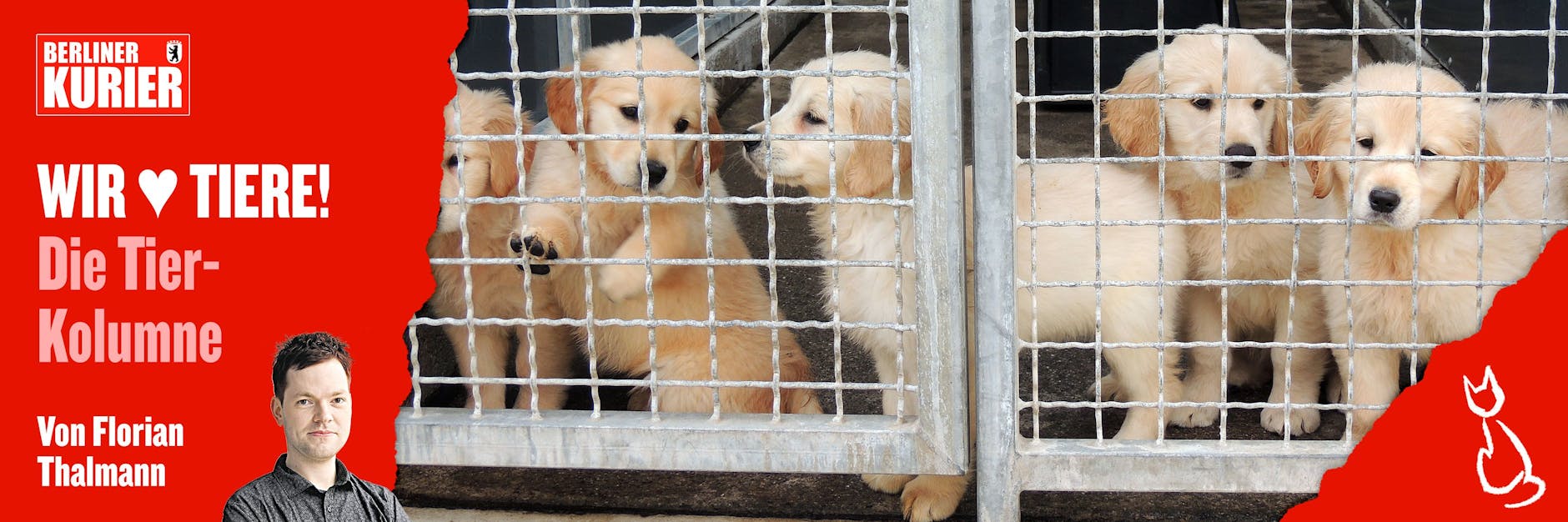 KURIER-Autor Florian Thalmann schreibt jeden Mittwoch über Tiere in Berlin. Dieses Mal geht es um ein leidiges Thema: Den illegalen Handel mit Hundewelpen.