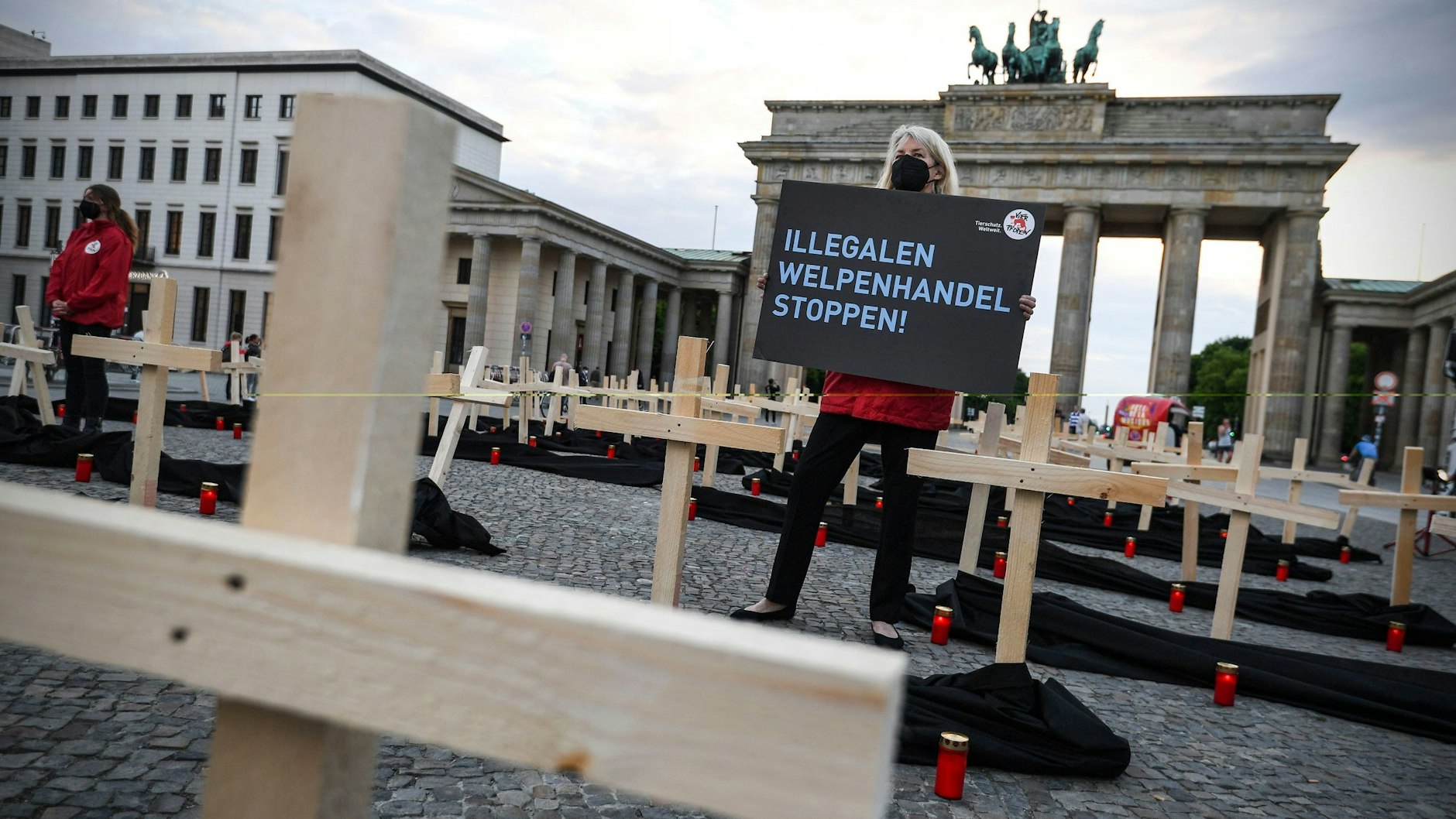 Am Brandenburger Tor stellten Tierschützer von „Vier Pfoten“ bei einer Mahnwache Kreuze auf.