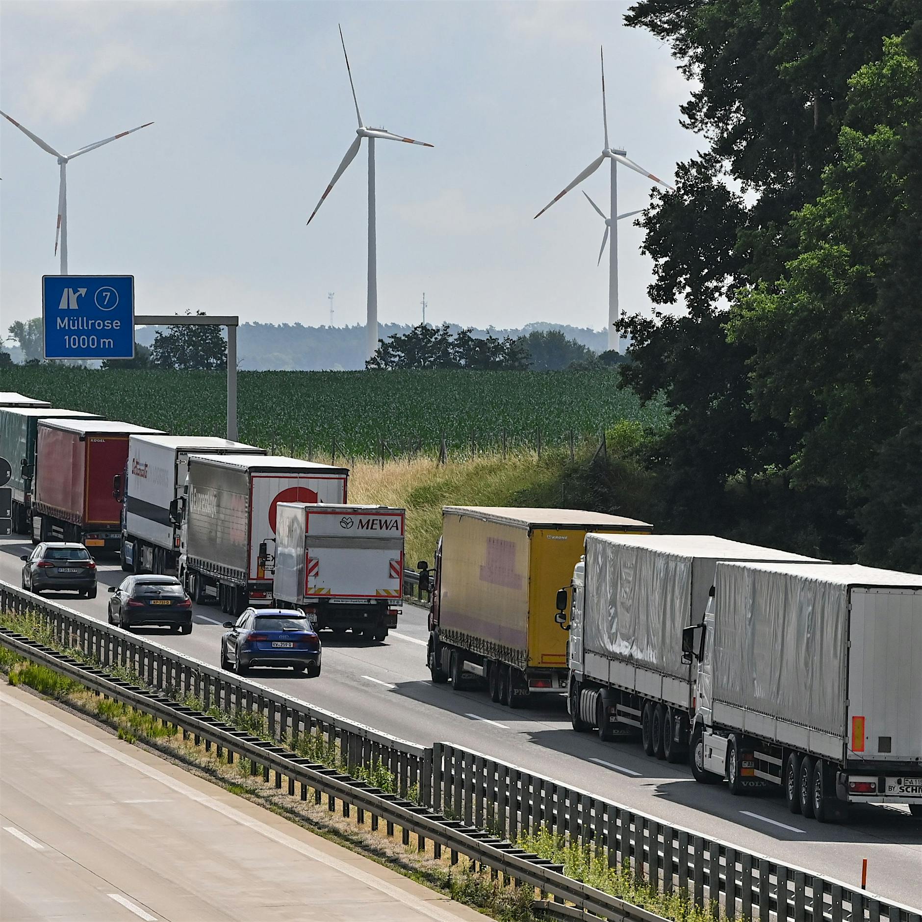 Aufschwung nebenan: Vom „Polenmarkt“ zum Stabilitätsanker der Wirtschaft Berlins