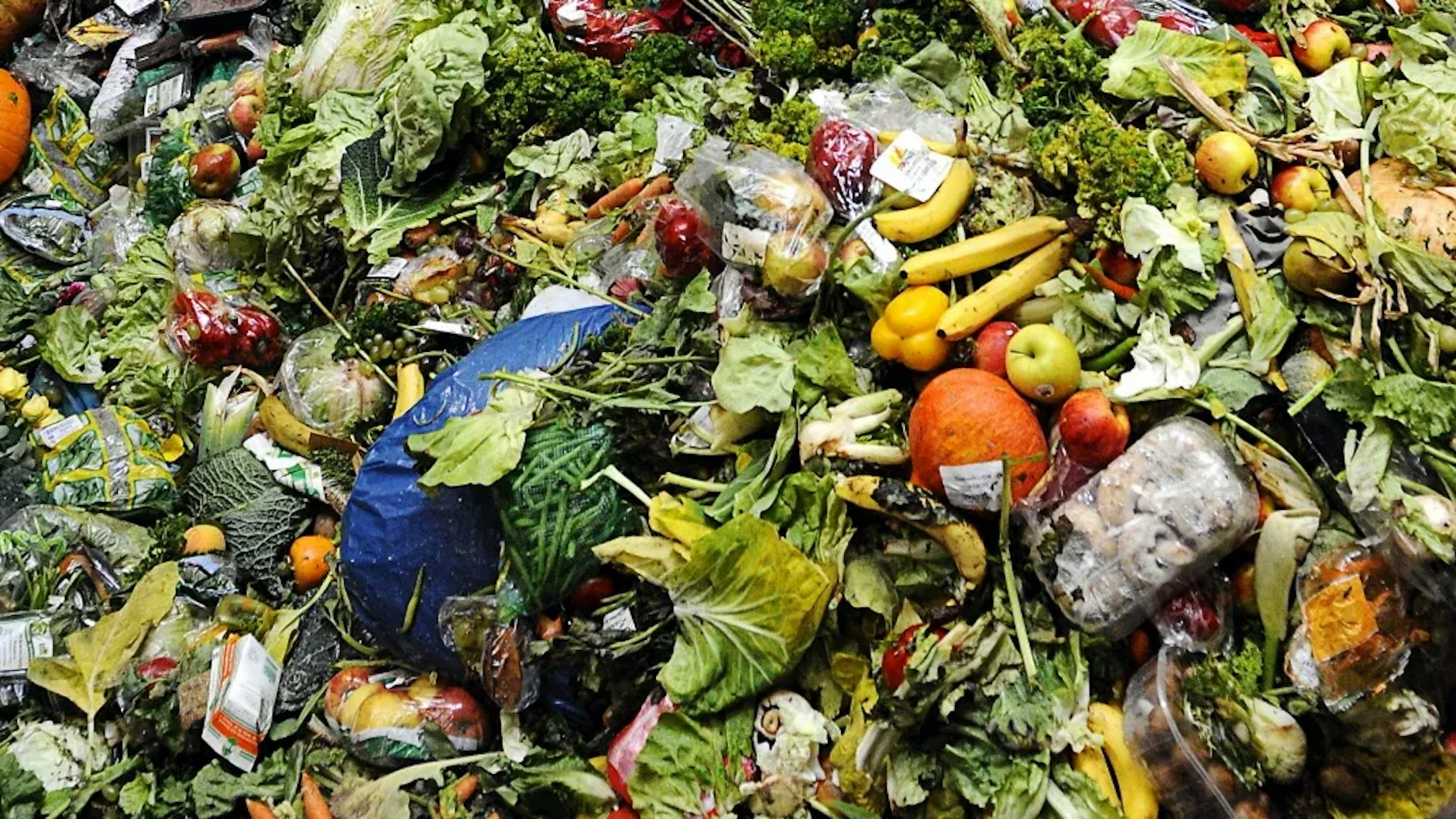 Weltweit werden einer Studie zufolge jährlich bis zu zwei Milliarden Tonnen Lebensmittel weggeworfen. Eine unglaubliche Ressourcenverschwendung!