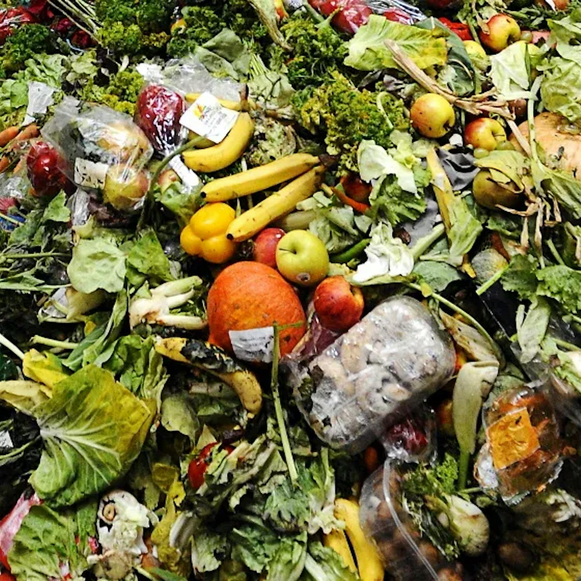 Erdüberlastungstag: Vom 29. Juli an lebt die Menschheit auf Pump