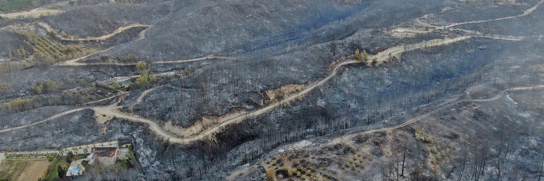 Türkei, Manavgat: Zerstörtes Gebiet nach einem Waldbrand.