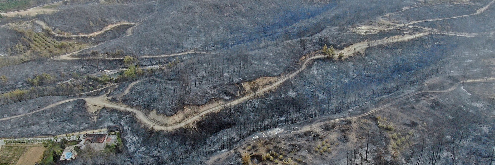 Türkei, Manavgat: Zerstörtes Gebiet nach einem Waldbrand.