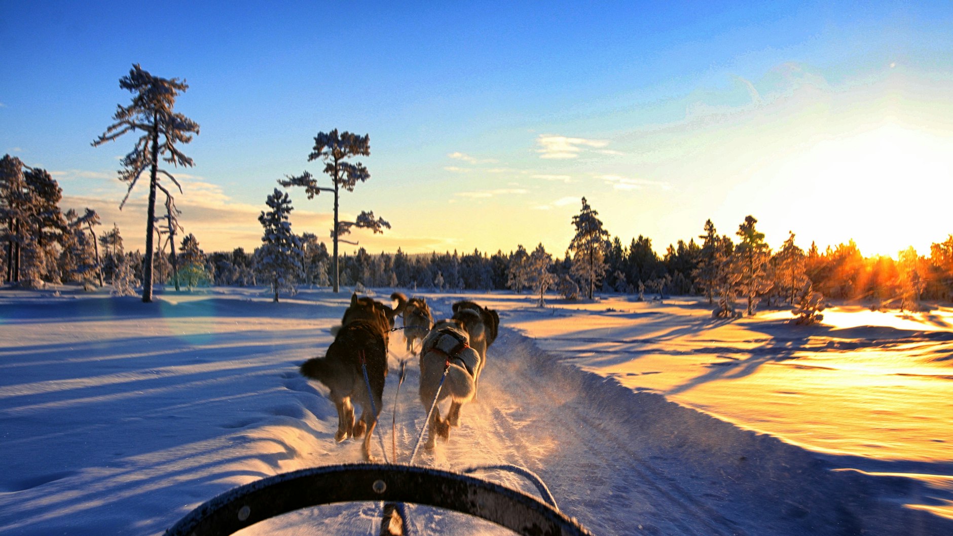 Unterwegs mit Huskys: Für Tourenveranstalter wie Kota-Husky im finnischen Posio gehört vor allem der Tierschutz zur nachhaltigen Alltagsarbeit.