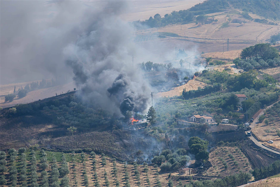 Die Feuerwehr sprach von insgesamt rund 370 Waldbrandeinsätzen landesweit.