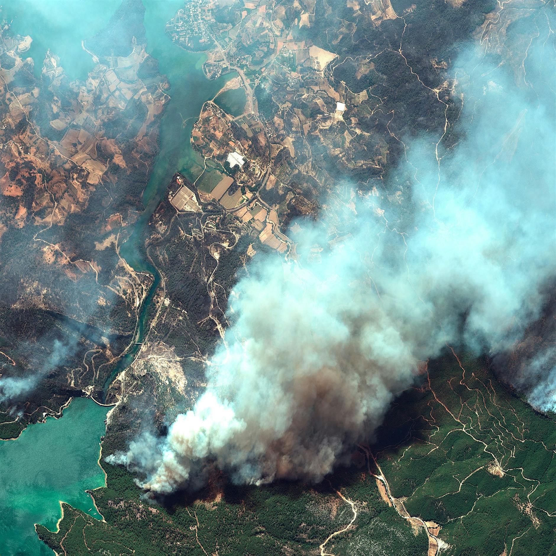 Griechenland, Italien, Türkei: Urlaubsländer kämpfen mit Waldbränden und Hitze