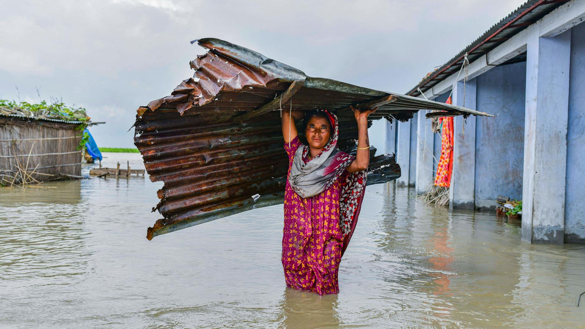 Überschwemmung nach starken Regenfällen in Nord-Bangladesch. Eine Frau trägt ein Wellblechdach durch das Wasser. 