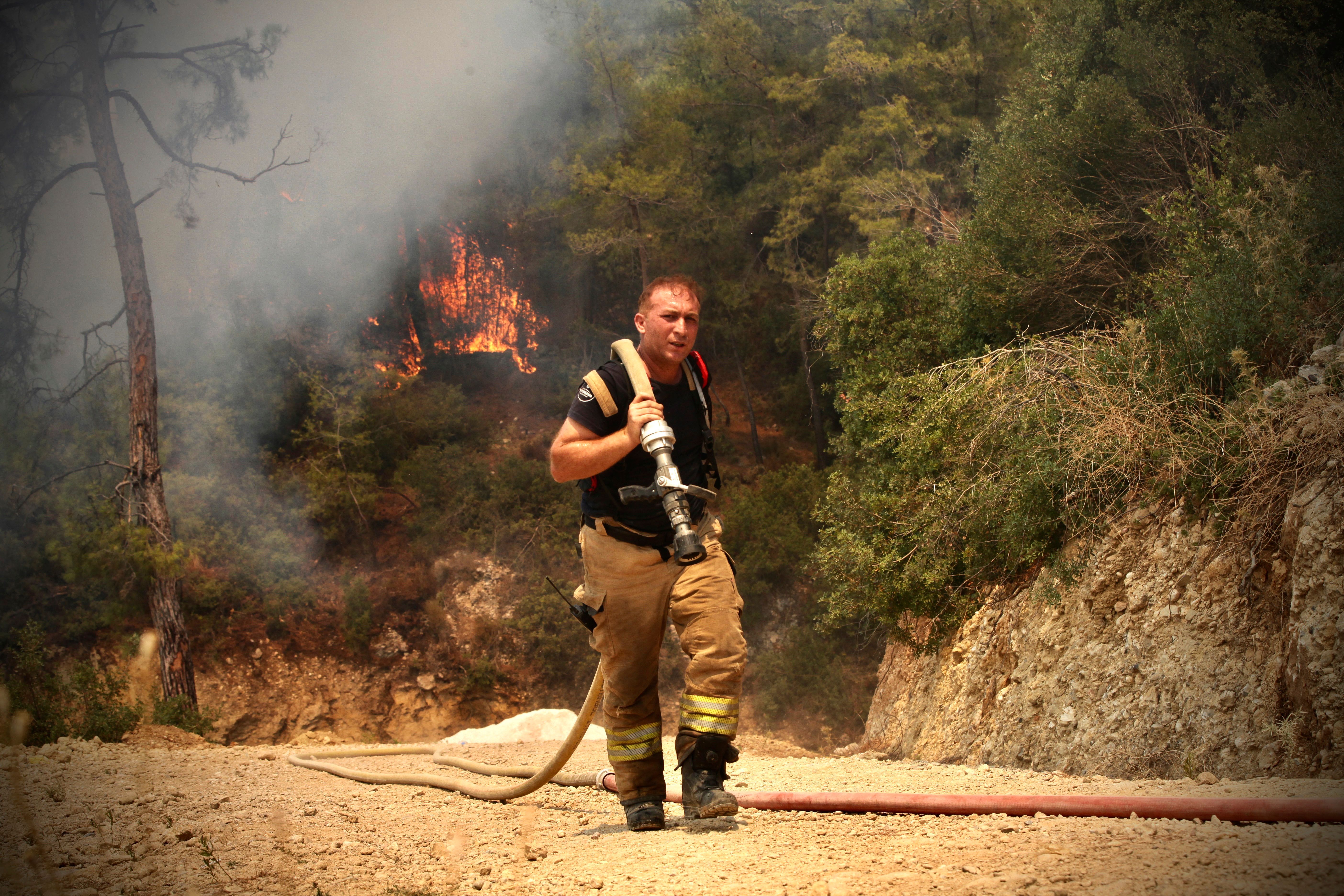 Image - Waldbrände in der Türkei: Ehepaar aus Deutschland stirbt