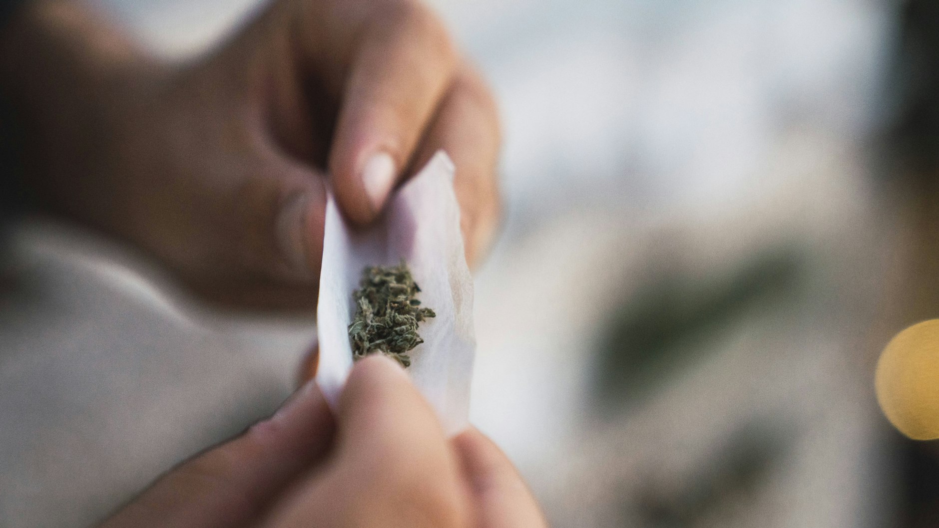 Cannabis gilt gemeinhin als harmlose Droge. Bei Jugendlichen kann sie aber irreversible Schäden anrichten.