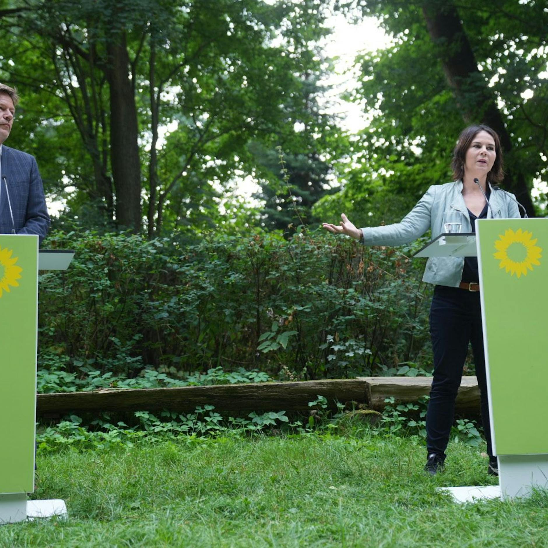 Grüne wollen Extra-Ministerium für Klimaschutz