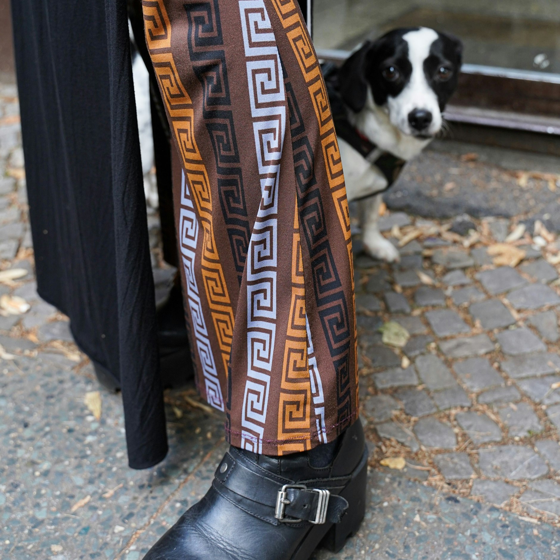 Vira hat eine Vorliebe für Schwarz und Erdtöne, ihr Outfit besteht vor allem aus Vintage-Stücken. Hund Shiva kann das egal sein. Der Terrier-Rüde will eigentlich weiter Gassi gehen.