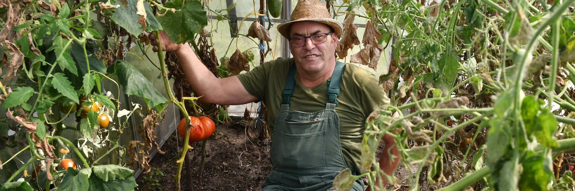 Während bei den Olympischen Spielen in Tokio momentan sportliche Spitzenleistungen erzielt werden, kann Bernd Wolff aus seinem Kleingarten ganz andere Höchstleistungen verkünden. Er züchtet sehr großes Gemüse. <br>