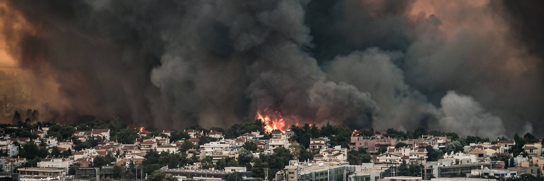 In Tatoi, einem Vorort von Athen, sind die heftigen Waldbrände bereits angekommen.