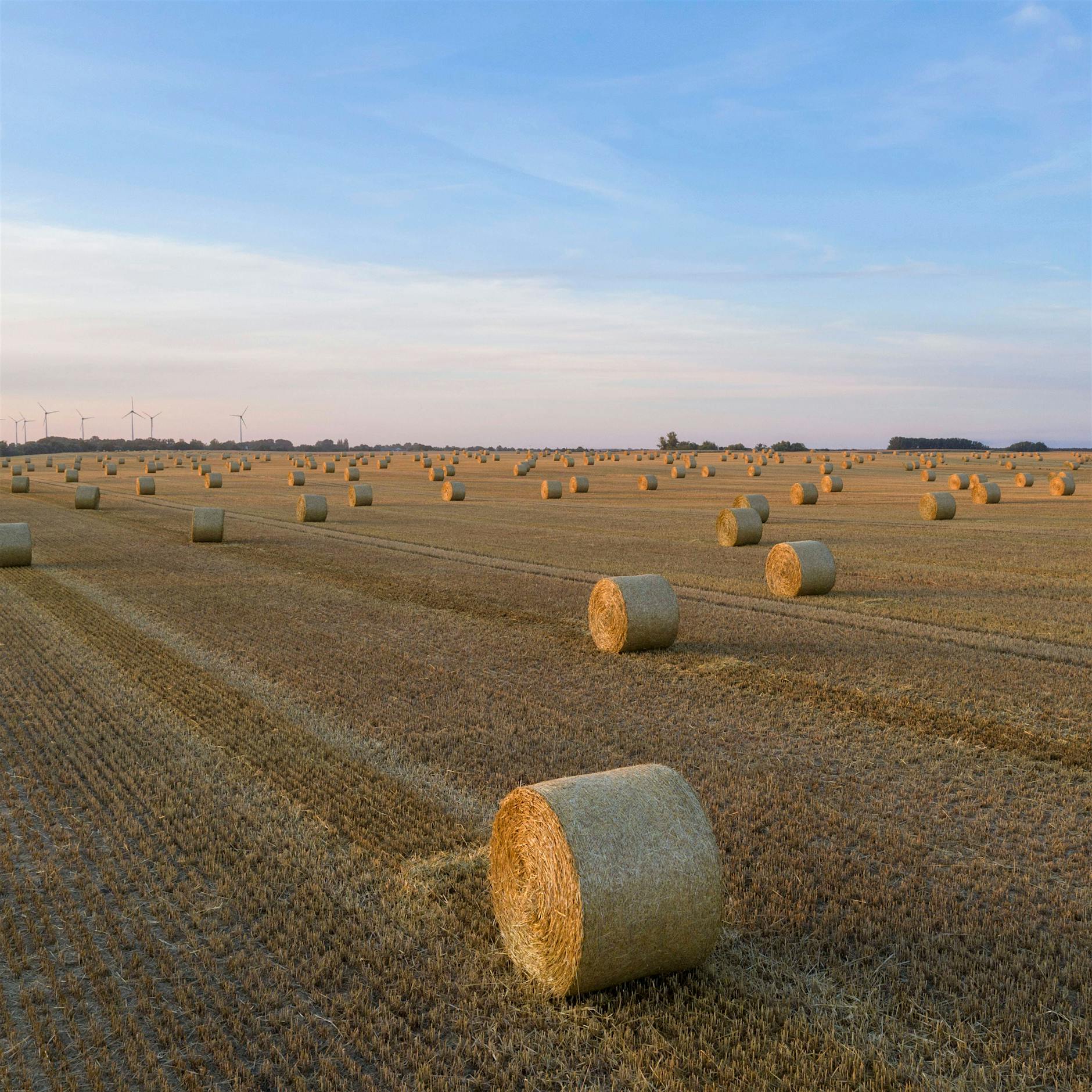 Heillose Familienaufstellung: „Die Wütenden und die Schuldigen“