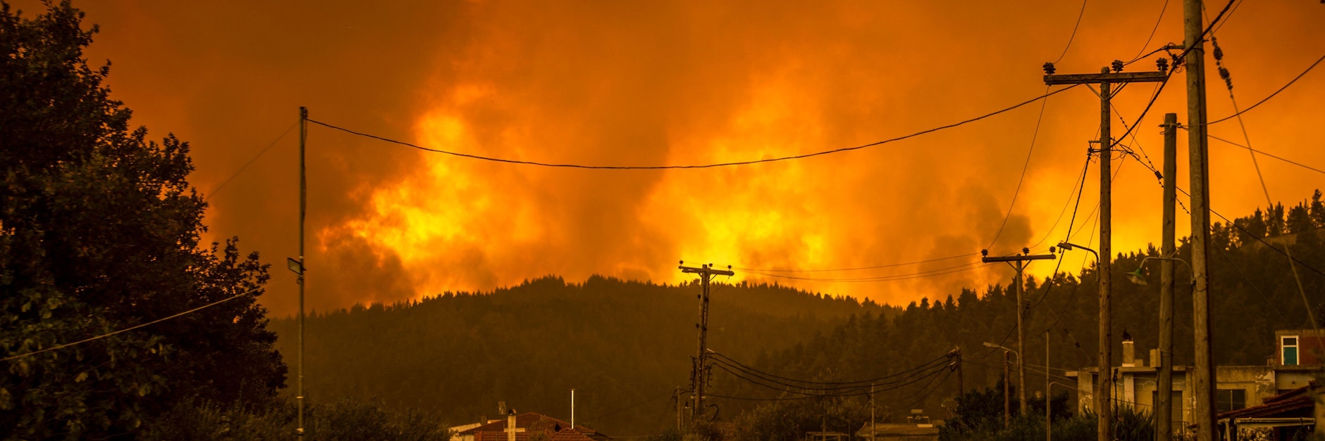 Die Feuerwände auf Euböa sind teils sieben Kilometer lang.