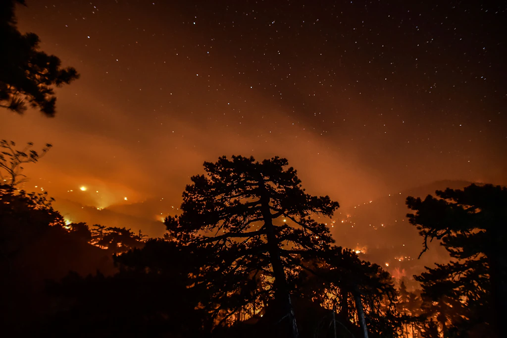Waldbrände am Mittelmeer: Die Feuer wüten weiter