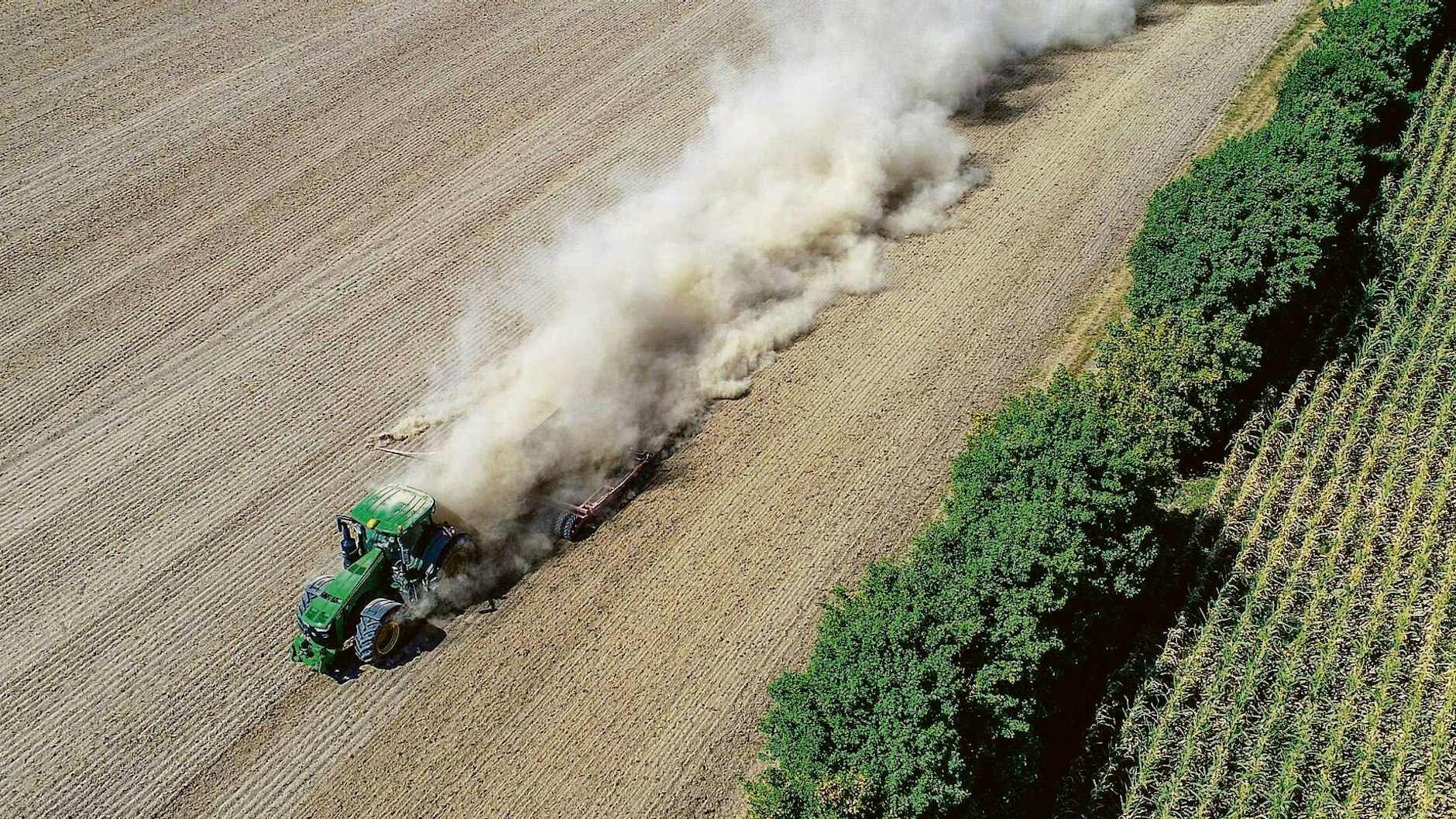 Als es begann: Brandenburg, 2018. Die Jahre 2018, 2019 und 2020 gelten in der hiesigen Region als Dürrjahre. 