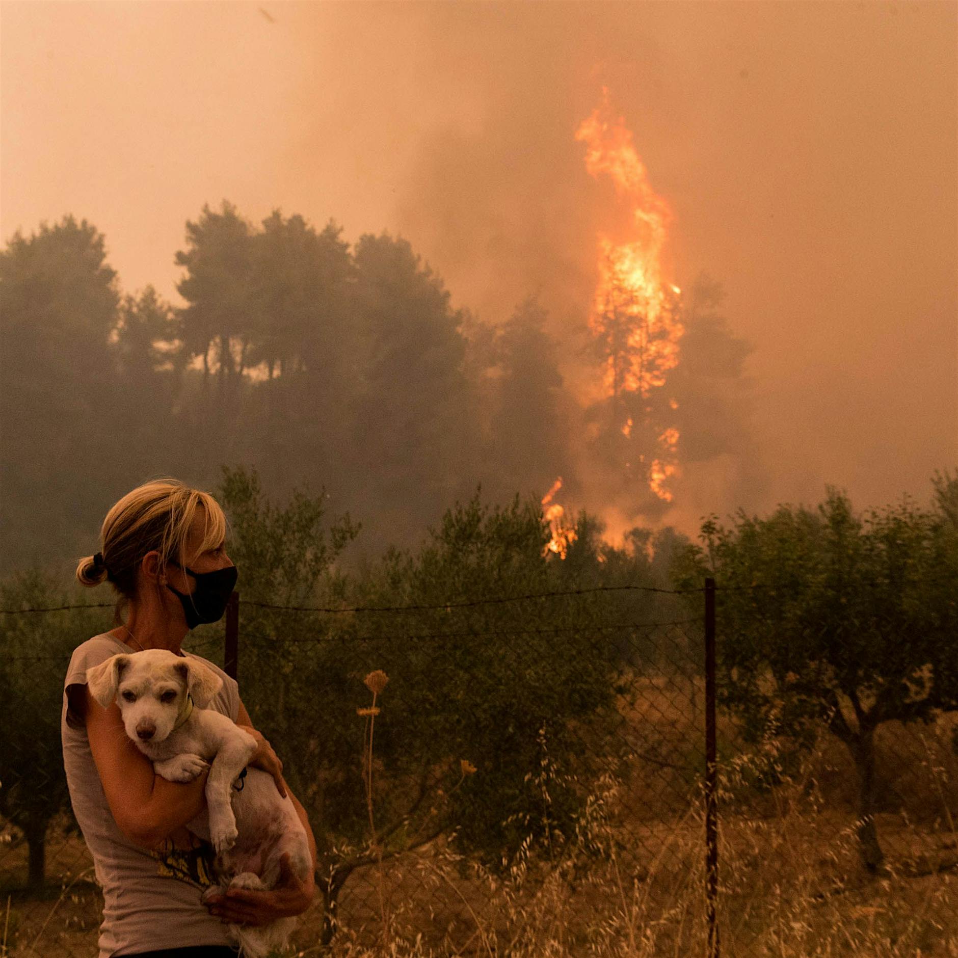 Wir brauchen harten Klimaschutz – jetzt!