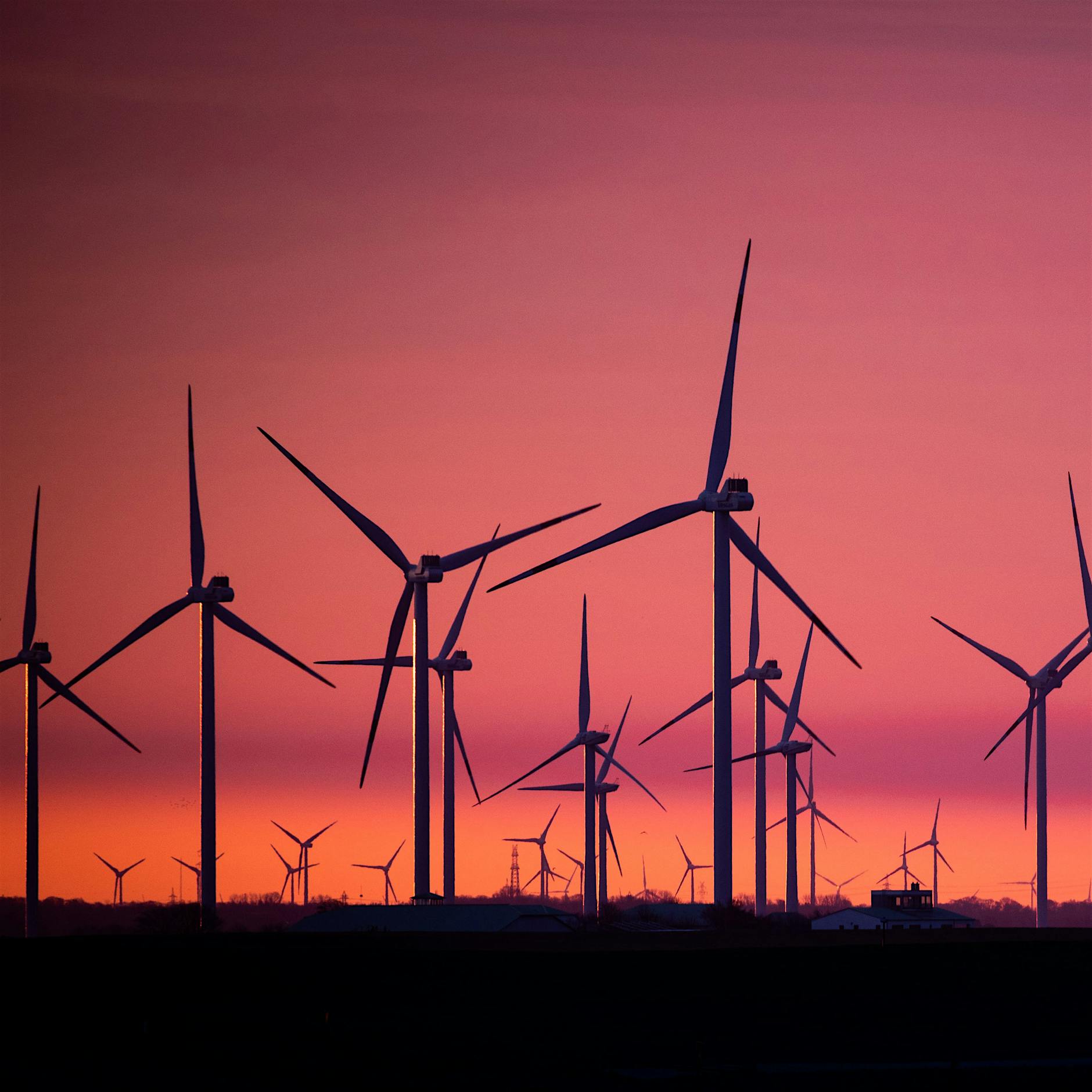 Ökostrom: Was Sie über Tarife und Anbieter wissen müssen