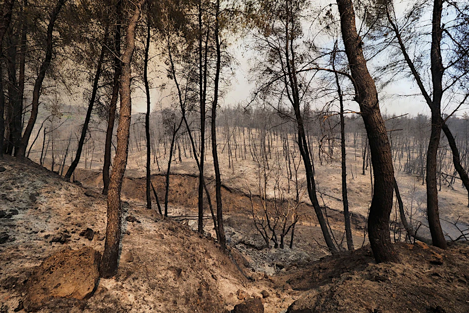 Ein verbrannter Wald auf der griechischen Insel Euböa, nördlich von Athen. Extreme Hitze und Waldbrände zeigen nur einen Ausschnitt der Klimakrise, dem sich der Weltklimarat (IPCC) stellen will.&nbsp;