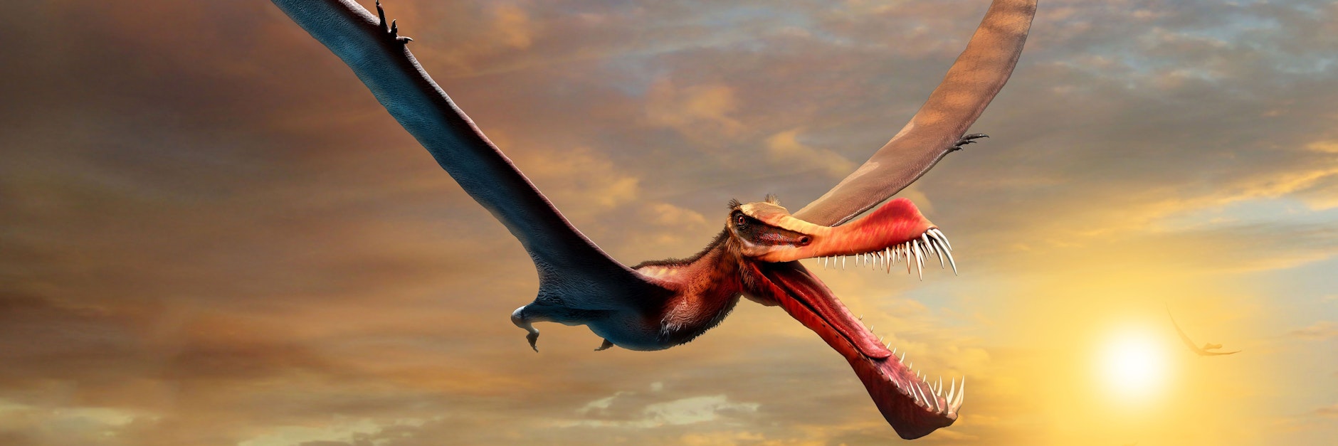 Der Thapunngaka shawi lebte einst in Australien. Er muss ausgesehen haben, wie Menschen sich Drachen vorstellen.