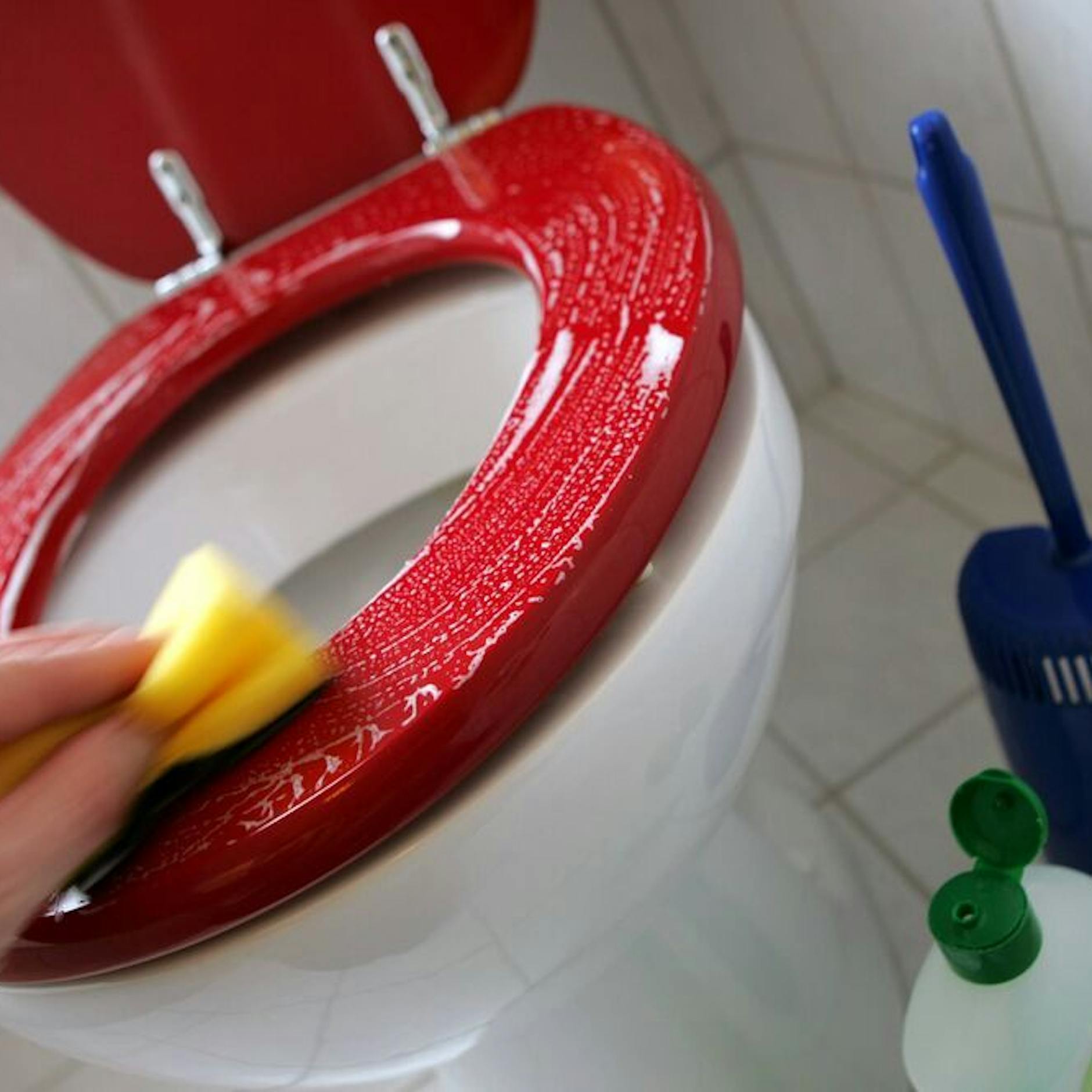 Ekel-Hitliste! Handy und Co. – DIESE 10 Dinge sind schmutziger als Ihr Klo