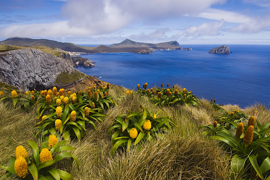 Neuseeland will im kommenden Jahr seine Grenzen für Touristen wieder öffnen (Symbolbild).