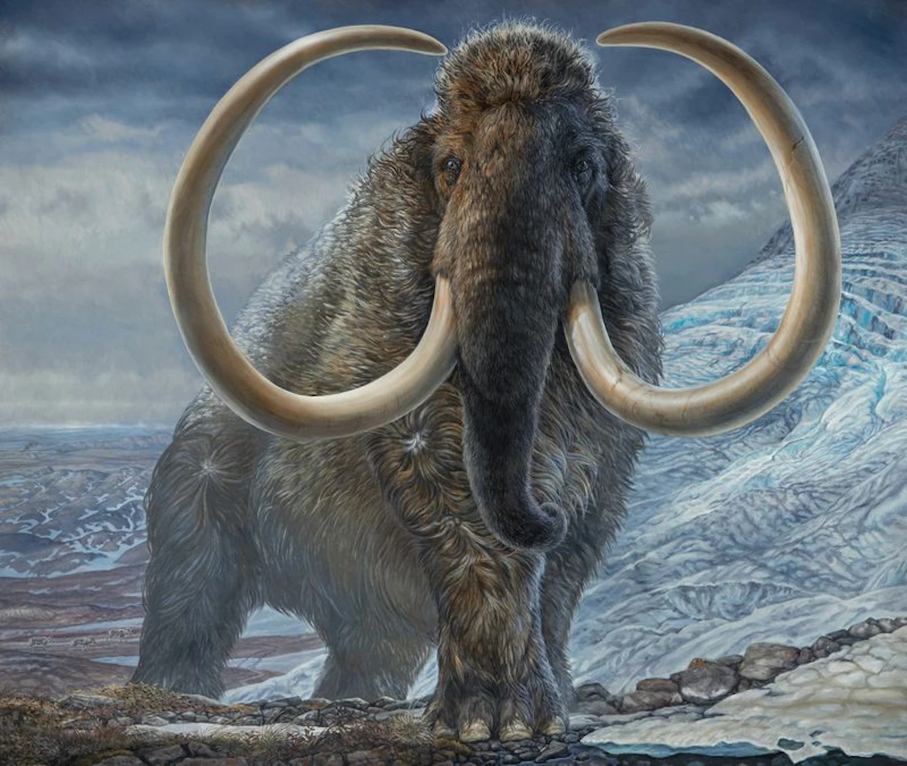 Zeitreise 17.000 Jahre zurück: Aus dem Leben eines Mammuts