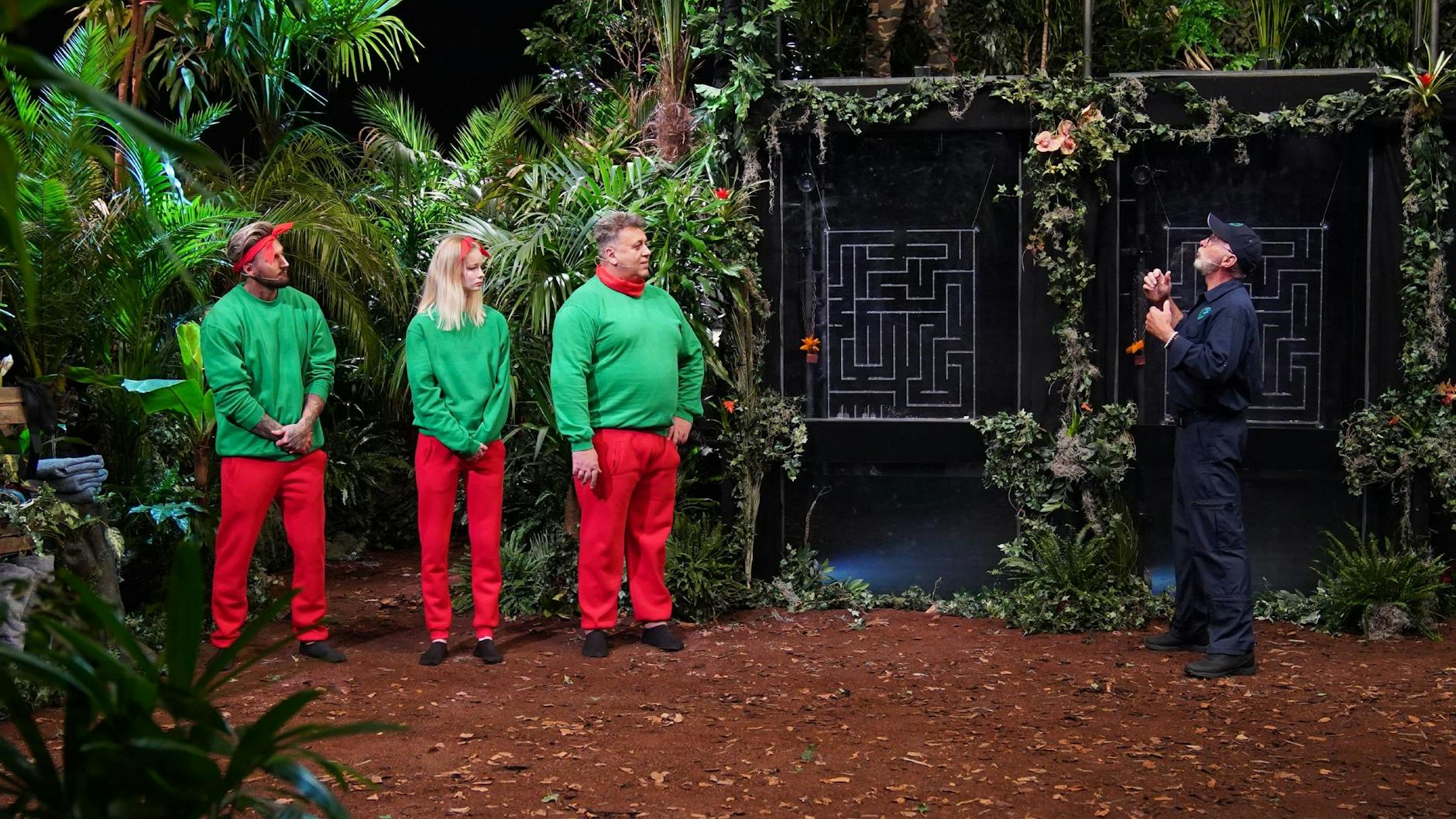 Die Dschungel-Show aus dem Kölner Studio bekam grausame Kritiken.