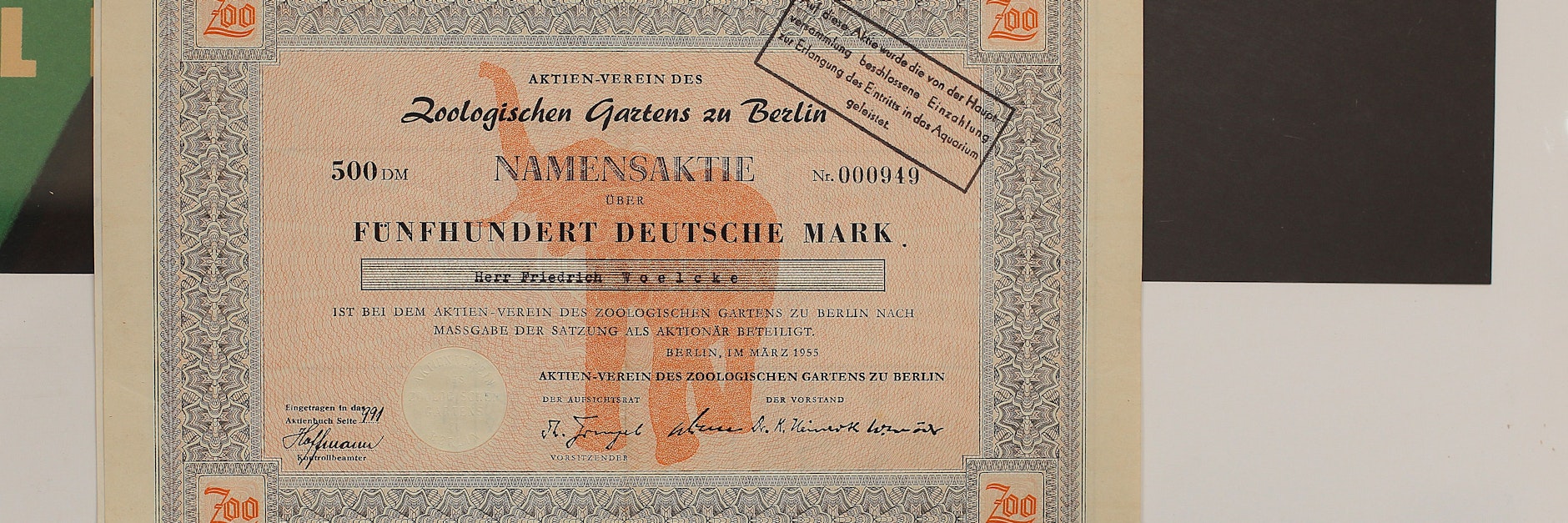 Eine alte&nbsp; Zoo-Aktie, die 1955 für 500 Mark ausgegeben wurde. Heute liegt ihr Kurs bei 8400 Euro.