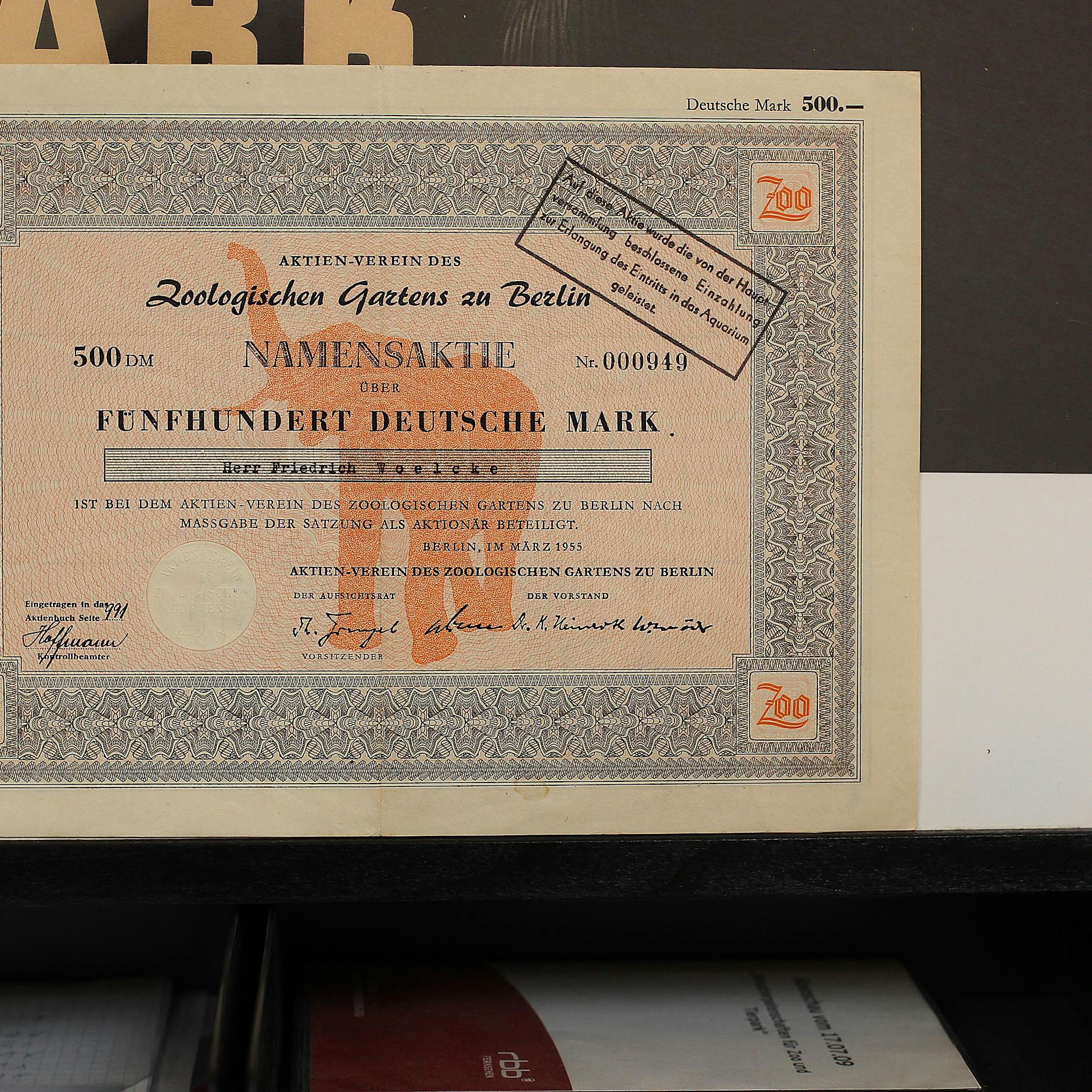 So will die Linke Panda & Co. retten: Berliner Zoo soll Aktien an den Senat verkaufen, um aus der Notlage zu kommen