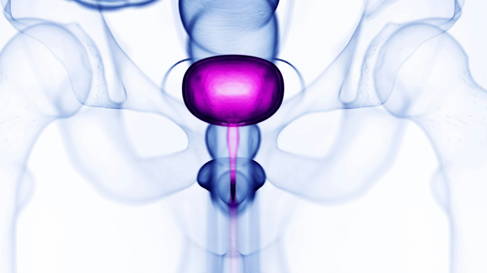 Illustration einer Blase: Tritt die Zystitis öfter als zweimal im Jahr auf, sprechen Mediziner von einem chronischen Infekt.