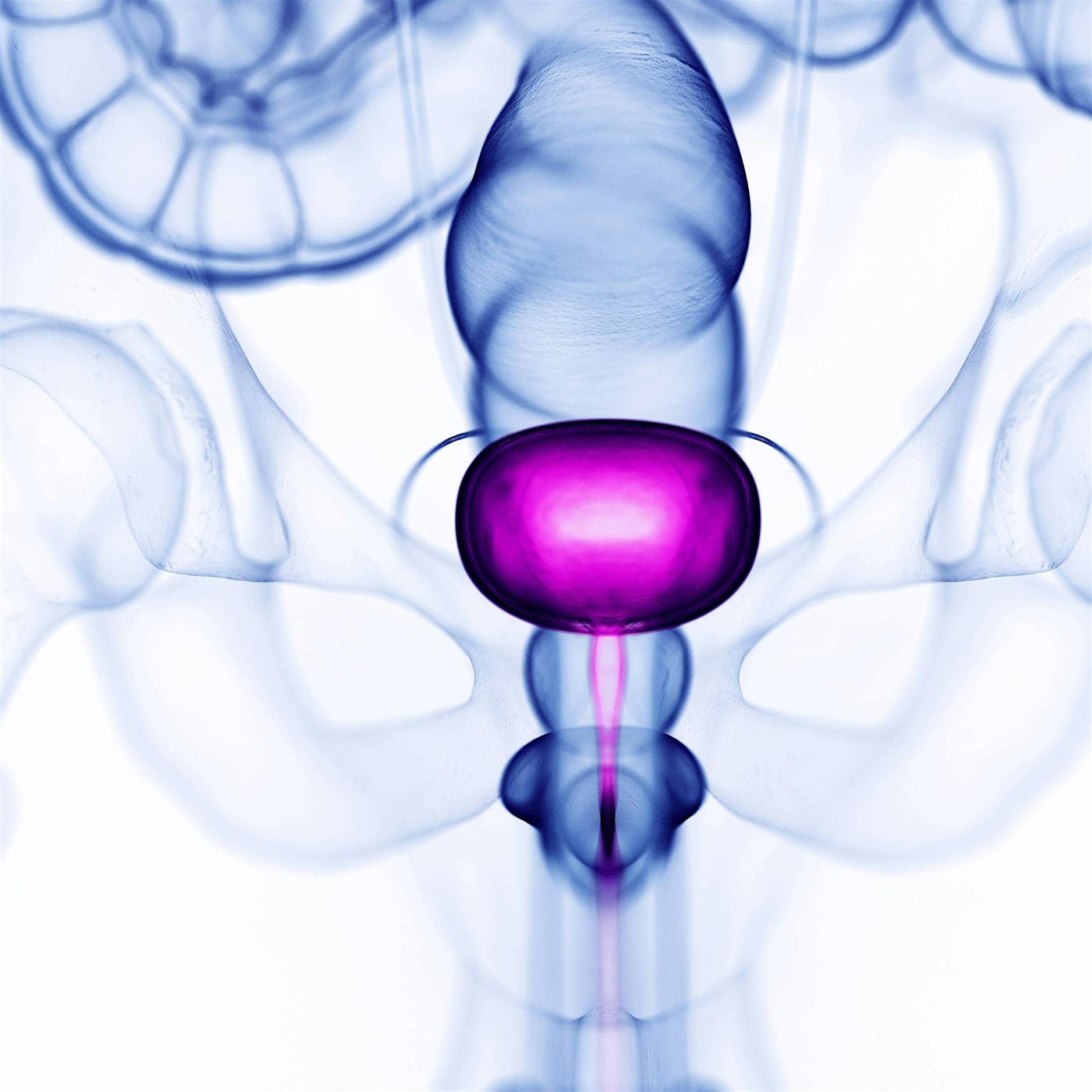 Impfen, Mannose, Antibiotika – Was bei Blasenentzündung wirklich hilft