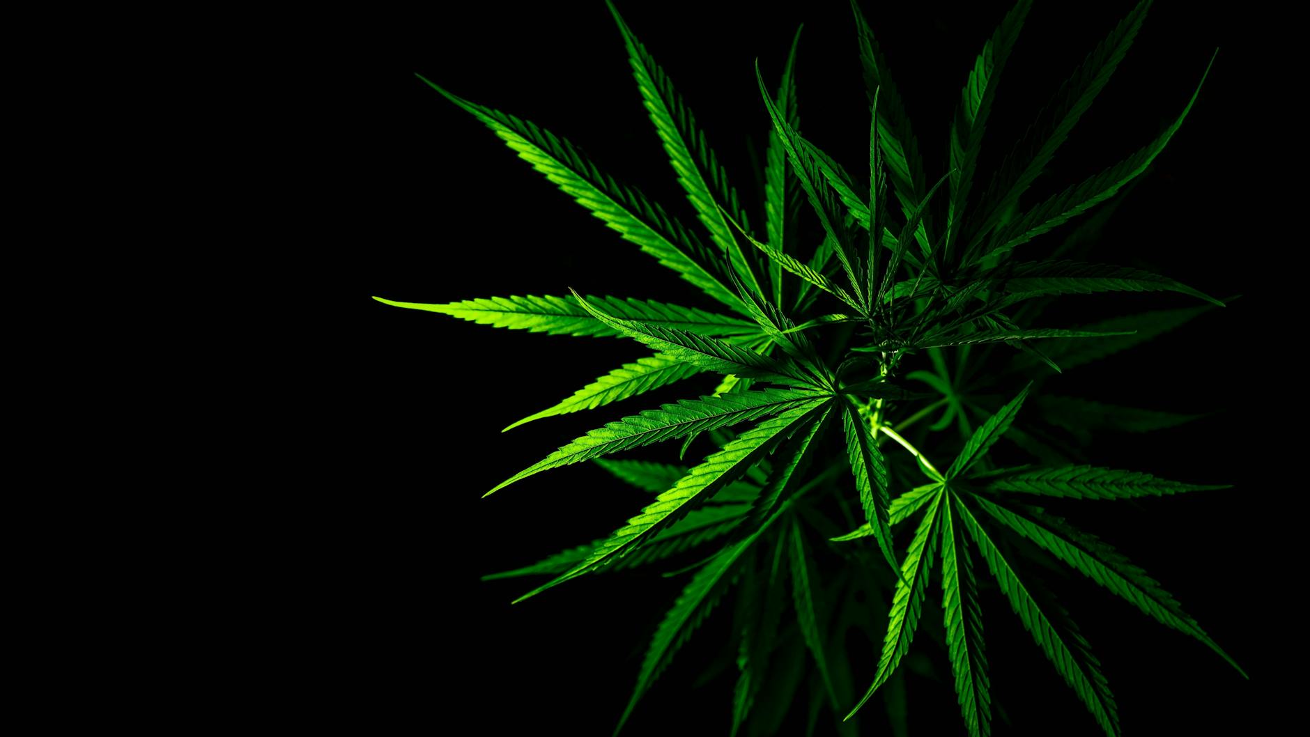 Downward facing prison sentence.