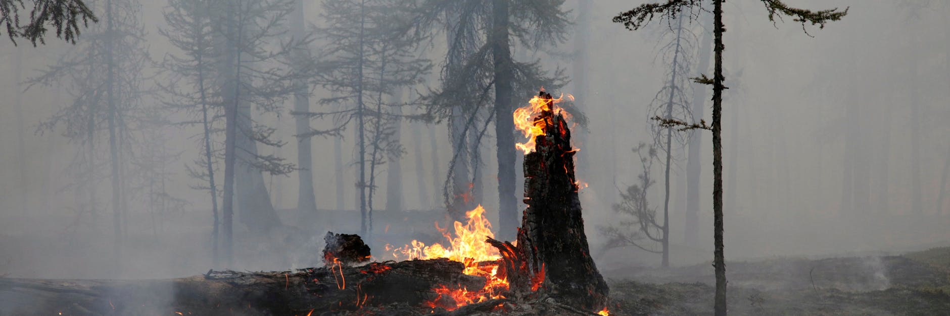 Die Waldbrände in Russland wirken sich negativ auf die Permafrostböden aus.