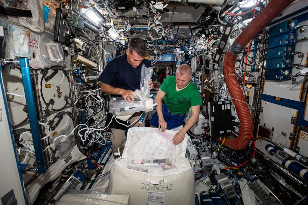 Alltag im All: Wie Astronauten-Unterwäsche sauberer werden soll
