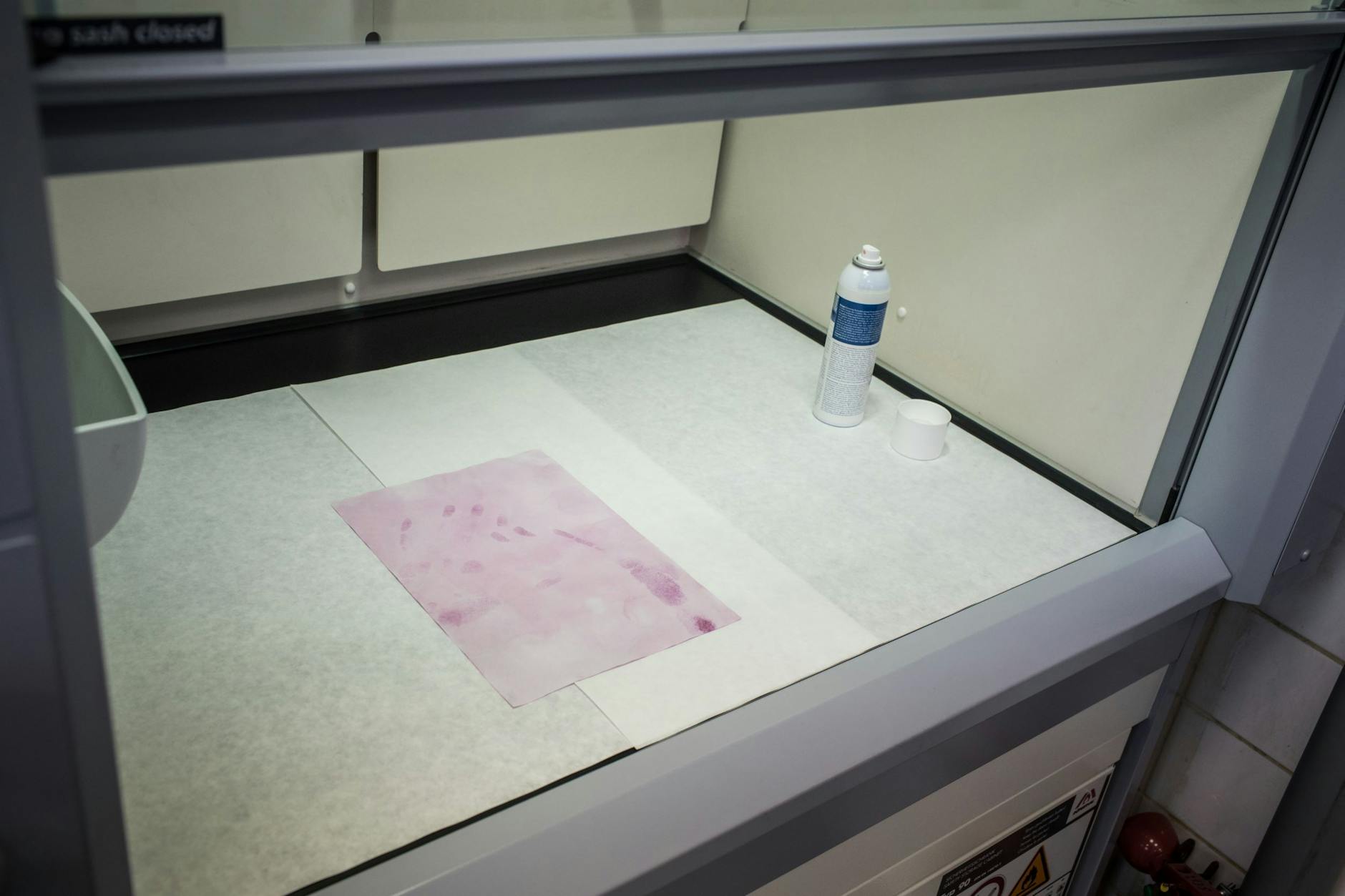 Nach der Behandlung mit Stoffen wie Ninhydrin werden die Fingerabdrücke sichtbar.