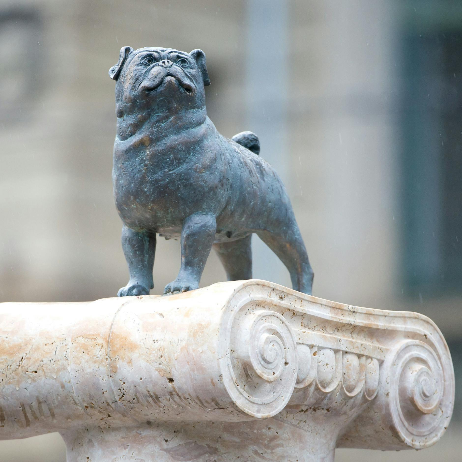 Eine Mopsfigur ist auf dem Loriot-Denkmal in Stuttgart zu sehen.