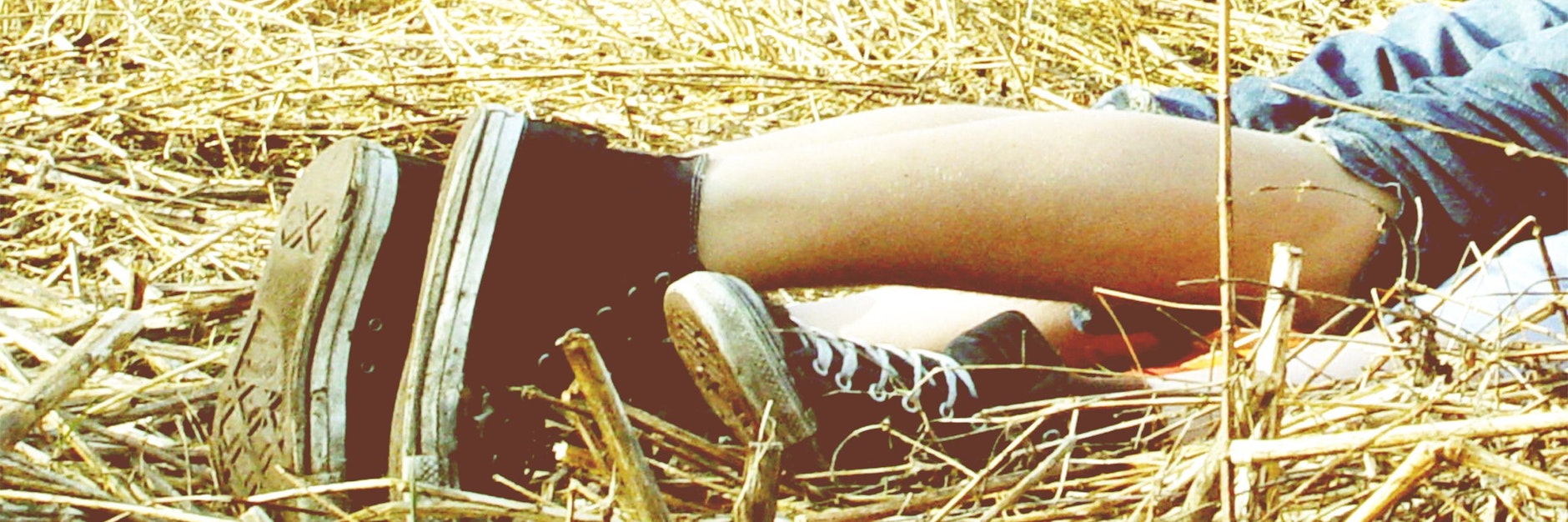 Sex im Freien ist nicht immer eine gute Idee. Manchmal droht sogar Lebensgefahr.