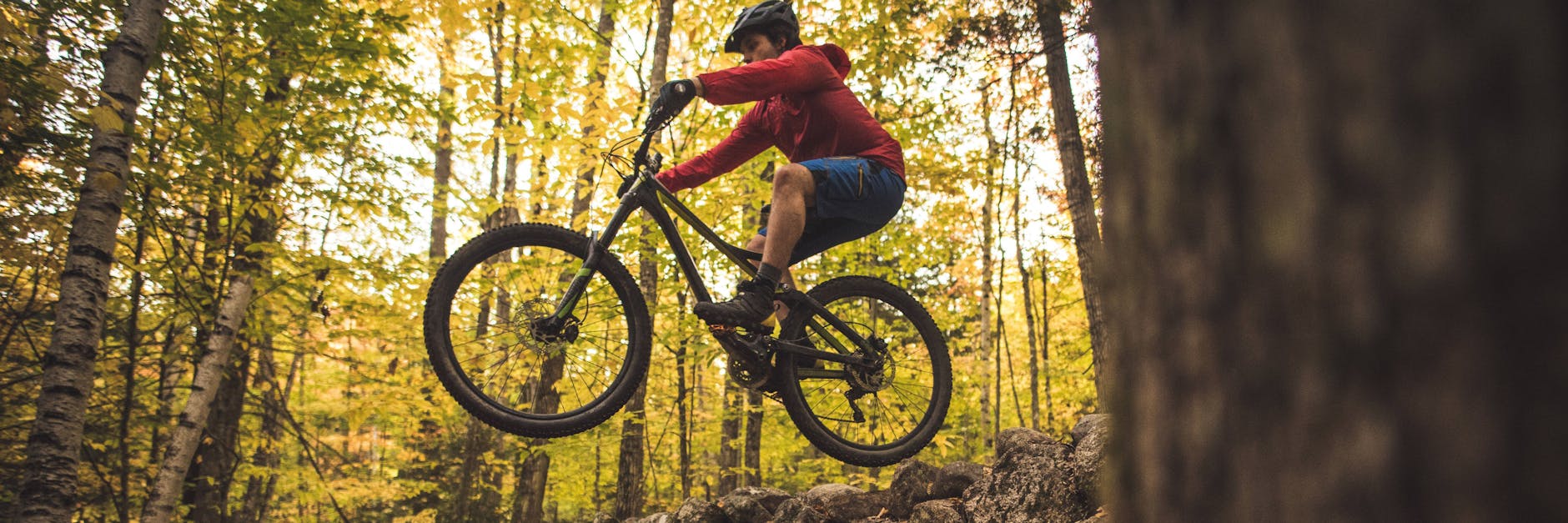 Die Blätter verfärben sich gelblich, der Herbst kündigt sich vielerorts bereits an, während dieser Mountainbiker sich den Weg durch den Wald bahnt.