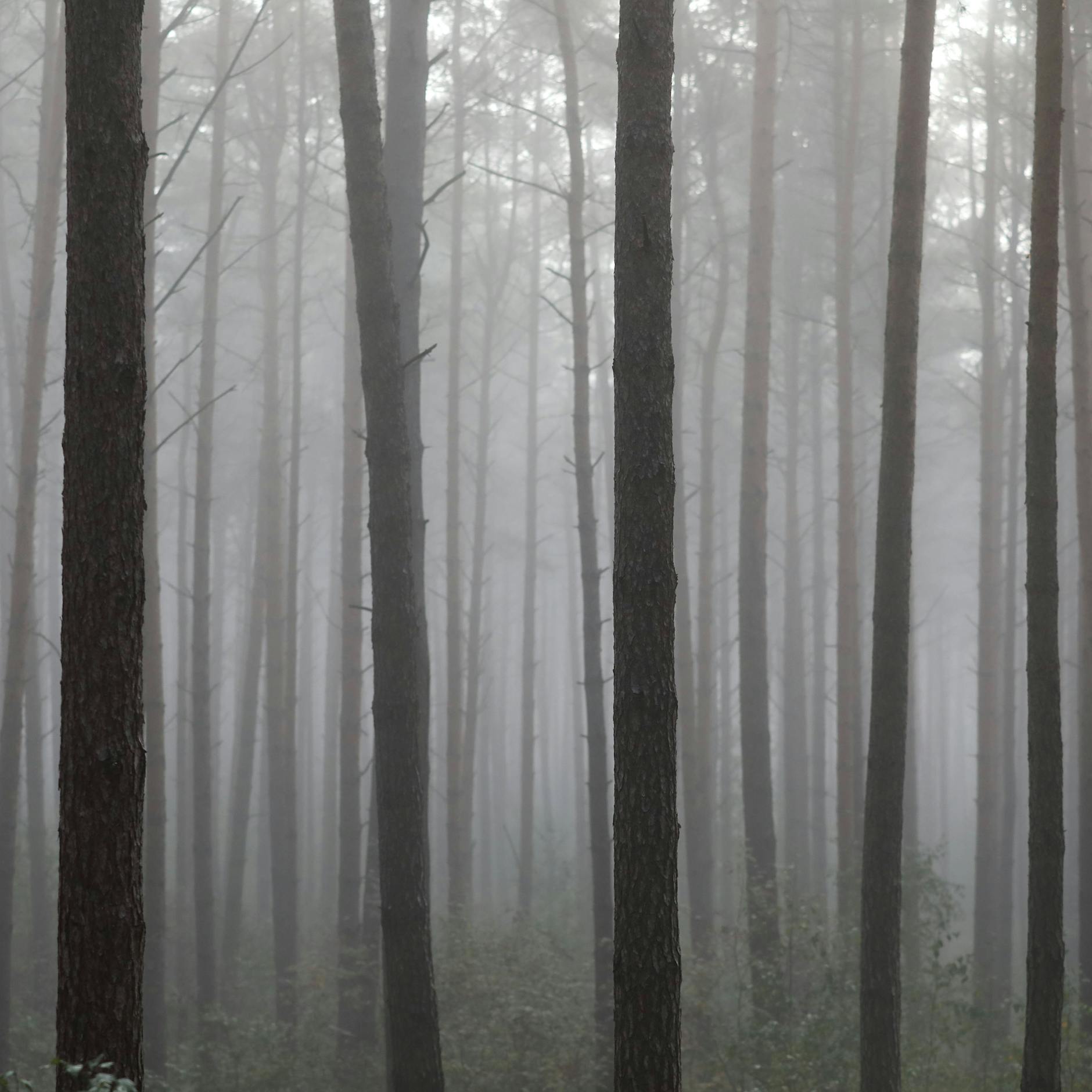 Wetter-Schock für Berlin: Temperatur-Sturz, Sturmböen, Gewitter, Nebel! Aber: Gute Chancen auf Spätsommer-Revival