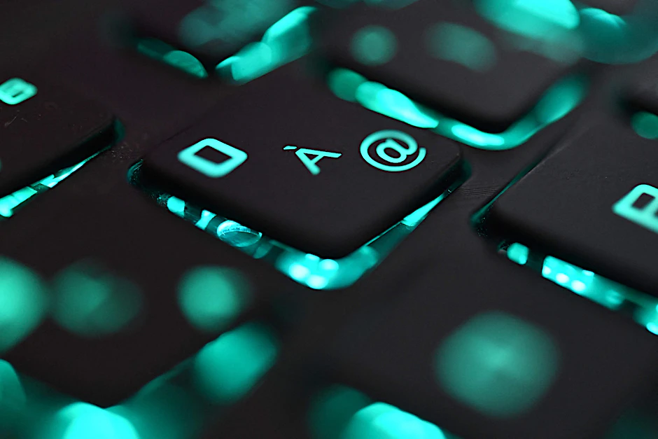 Ransomware-Attacken gelten derzeit als die größte Bedrohung im Cyberspace (Symbolbild).